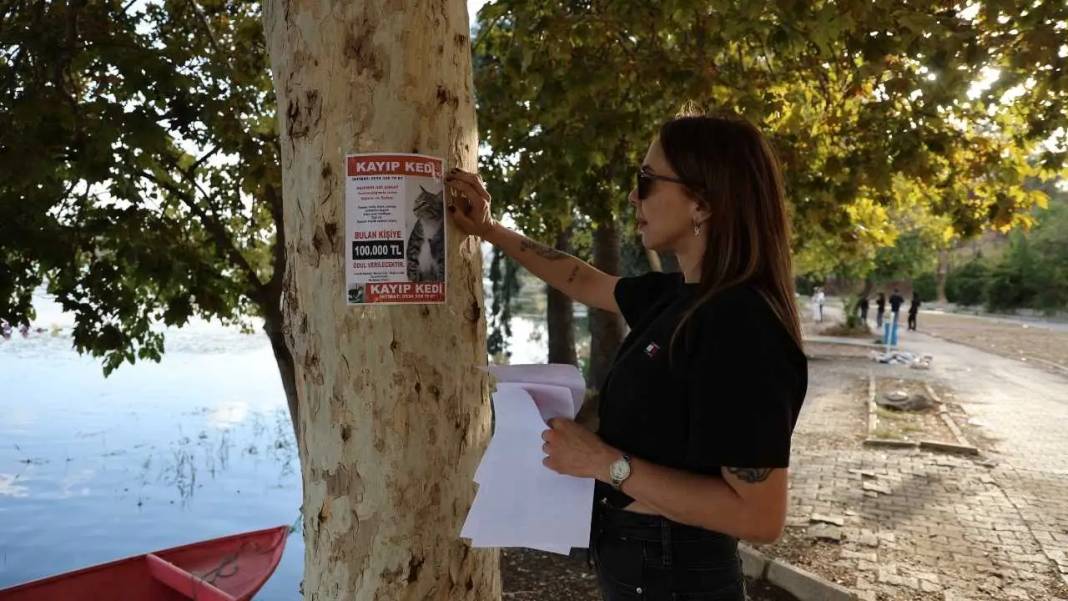 Adana’da Kayıp Kediye 100 Bin Lira Ödül! Kedisi İçin Duygusal Çağrı 3